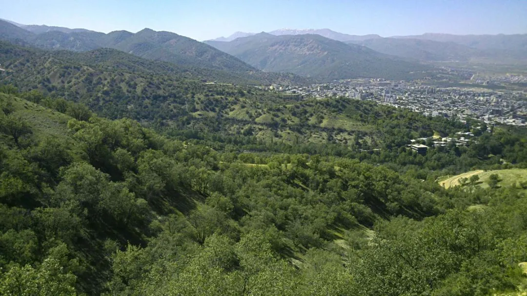 پارک جنگی یاسوج متروکه شد