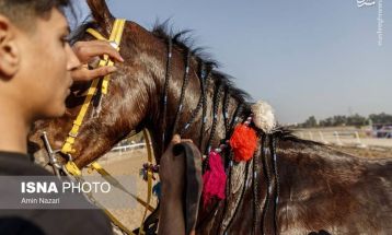 هفته اول مسابقات کورس اسبدوانی کشور در اهواز