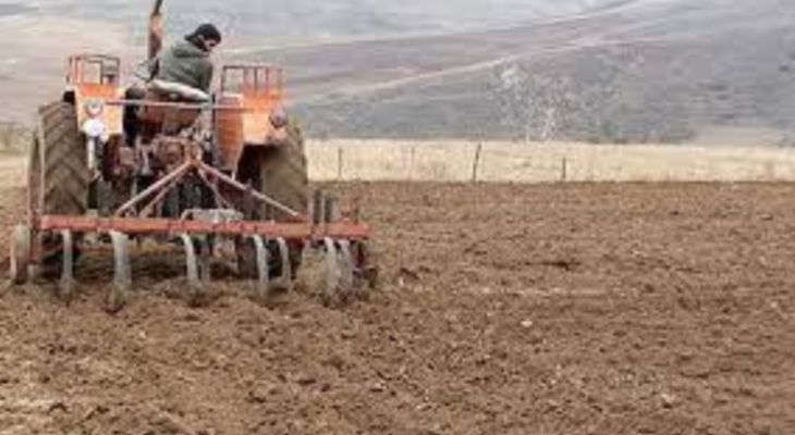 کشت پاییزه در ۹۶۰۰‌هکتار از اراضی باشت