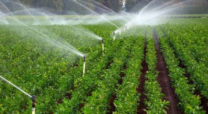 طرح الگوی کشت در باشت اجرایی شد