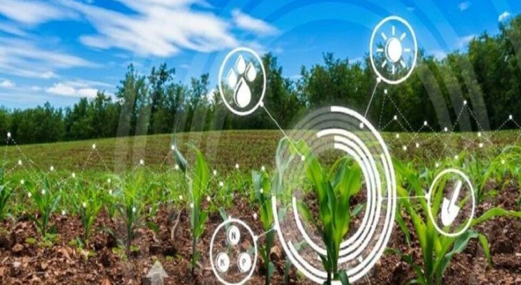 بذر دانش در مزارع کهگیلویه و بویراحمد