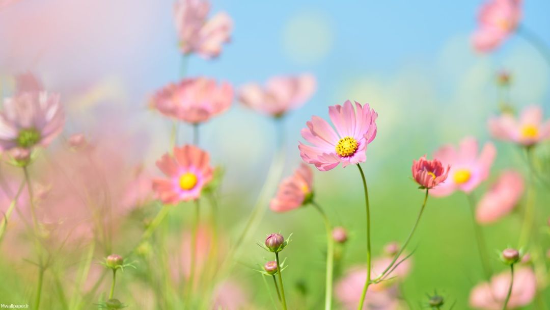 تست خبر پایگاه خبری صبح زاگرس