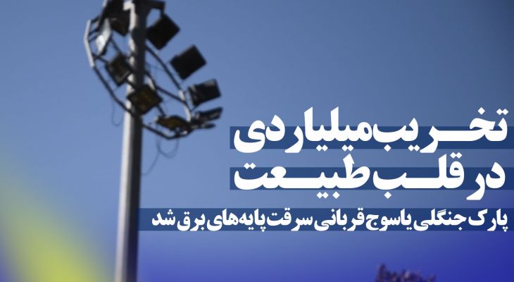 سرقت پایه‌های برق؛ خسارت میلیاردی به پارک جنگلی