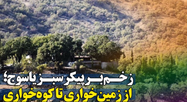 اشک دنا؛ از زمینخواری تا کوهخواری در یاسوج