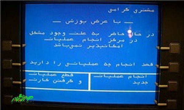 خواب عمیق خودپردازهای لیکک در روزهای تعطیل