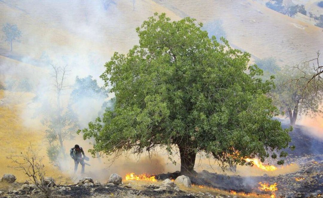 آتشسوزی گسترده در ارتفاعات روستای «گناوه» گچساران