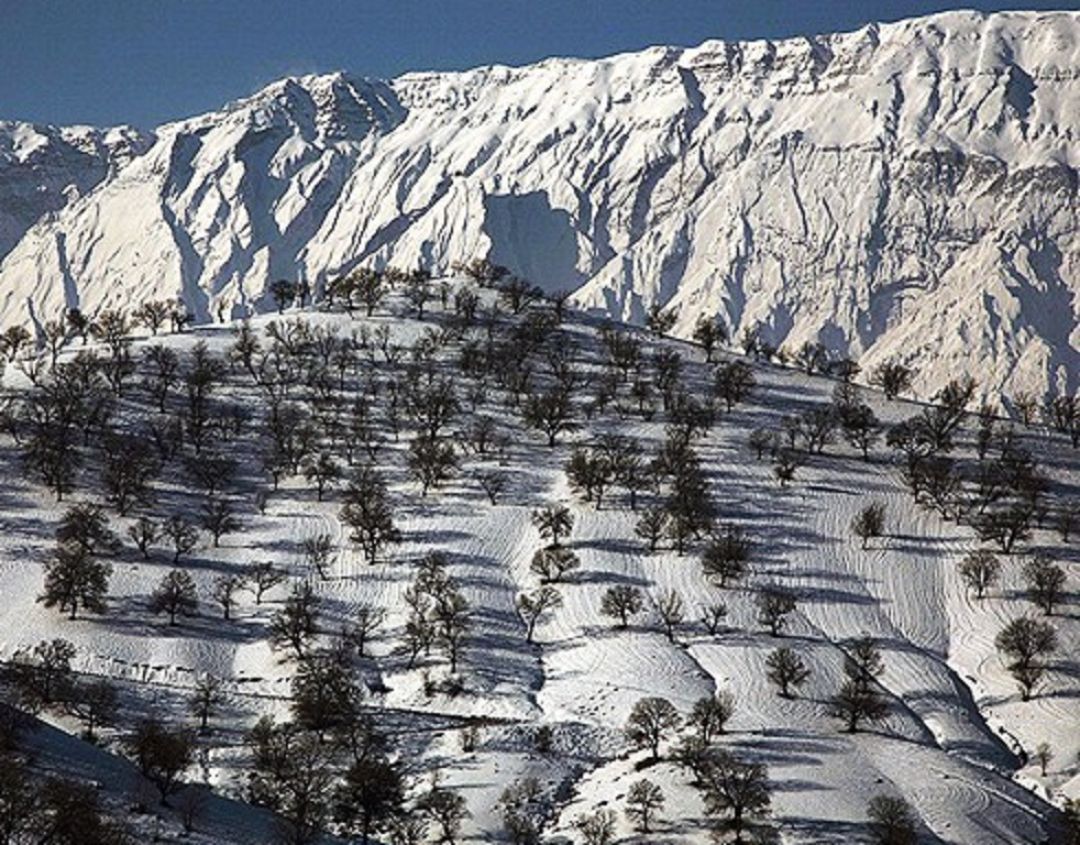 کهگیلویهوبویراحمد نفسهای آخر را میکشد