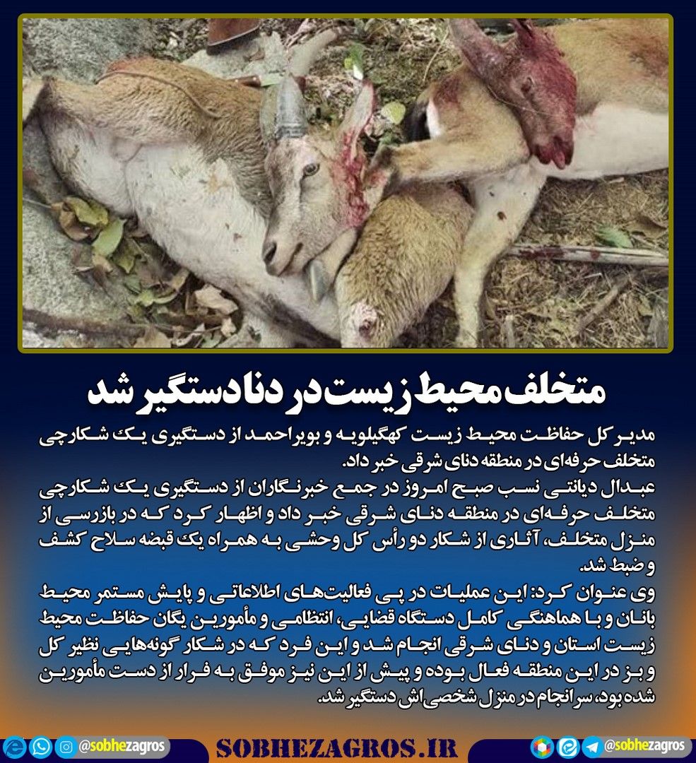 شکارچی دنا شکار شد
