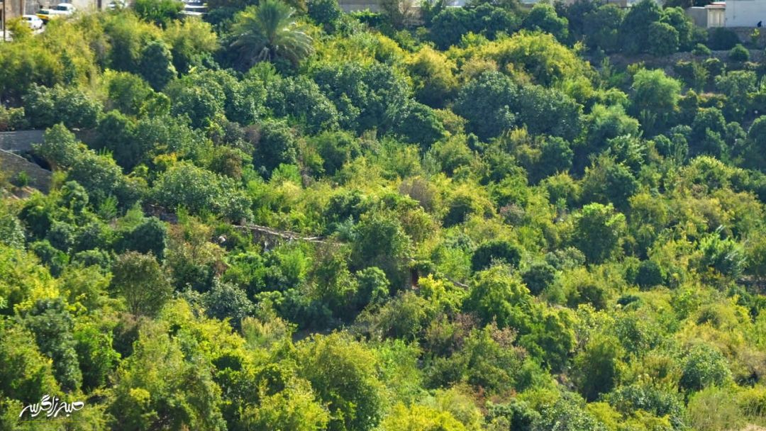 سفری به «مارین» بهشت حیرتانگیز گچساران+ تصاویر