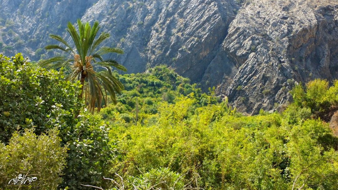 سفری به «مارین» بهشت حیرتانگیز گچساران+ تصاویر