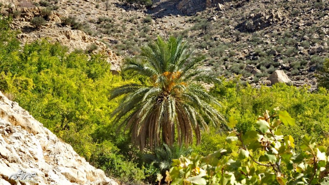 سفری به «مارین» بهشت حیرتانگیز گچساران+ تصاویر