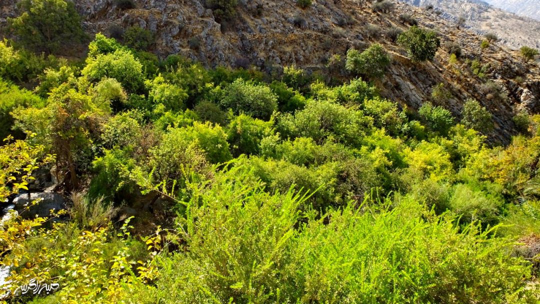 سفری به «مارین» بهشت حیرتانگیز گچساران+ تصاویر