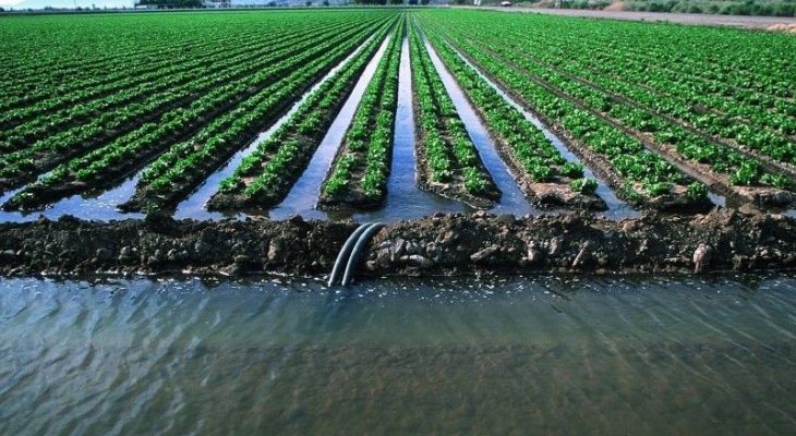 چالش‌های کشاورزی در کهگیلویه و بلاتکلیفی الگوی کشت!