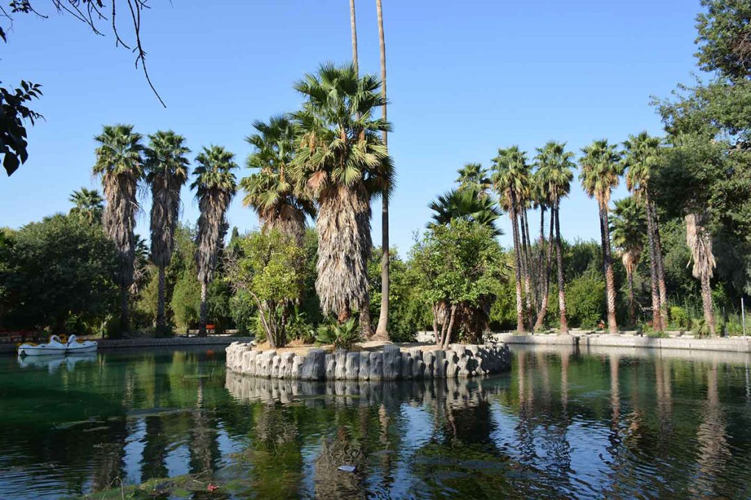 ماجرای آتش‌سوزی در باغ چشمه بلقیس چرام چیست؟