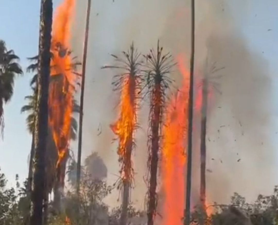 واکنش شهردار چرام به آتش گرفتن چشمه بلقیس