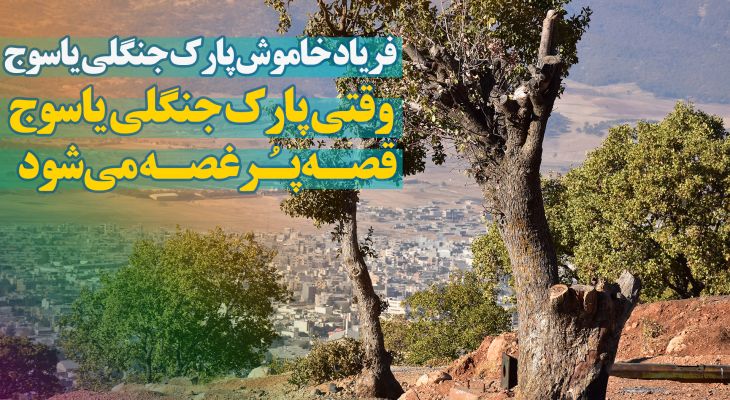 فریاد خاموش پارک جنگلی یاسوج