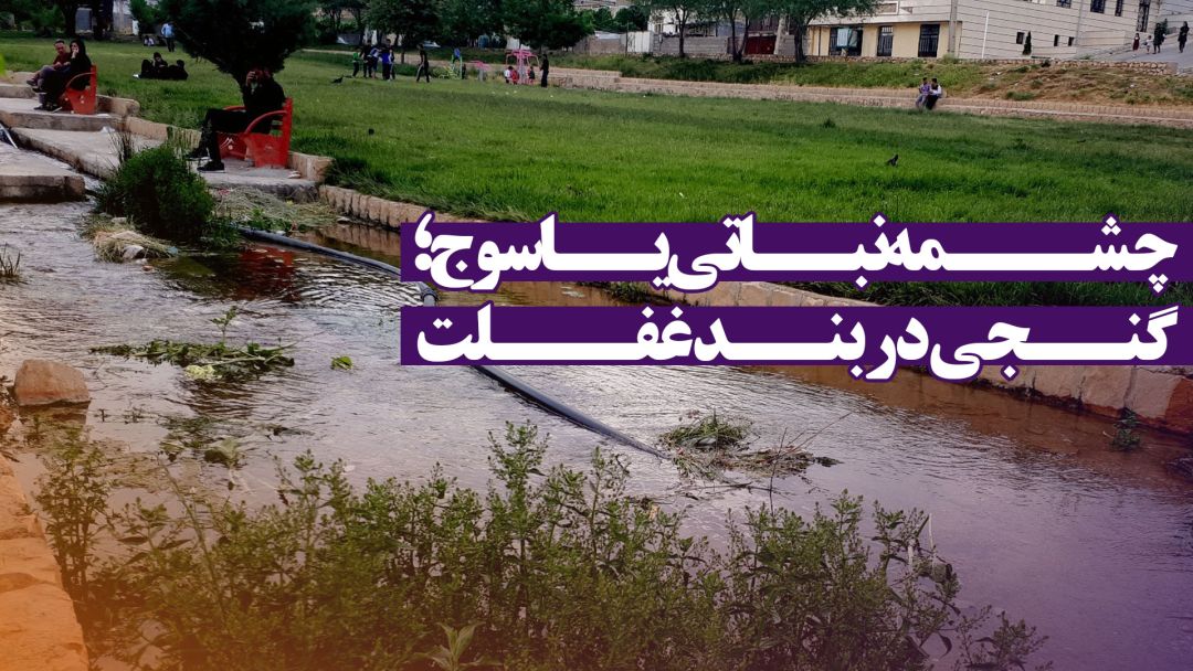 چشمه نباتی یاسوج؛ گنجی در بند غفلت