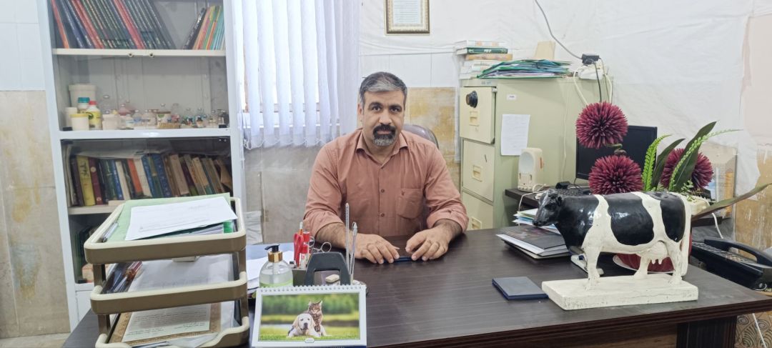 هشدار شیوع بیماری‌های دامی در پاییز