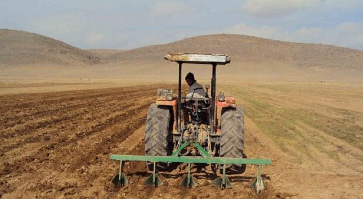 تأمین بذر کامل برای کشت پاییزه در کهگیلویه