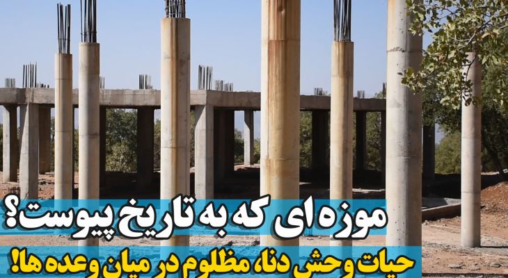 از پروانه‌ها تا پلنگ‌ها؛ ناله‌های موزه مظلوم دنا