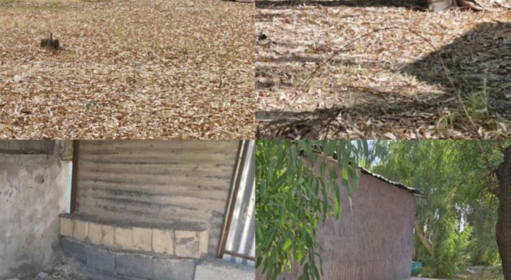 پارک «مالیات» باشت در سکوت و تنهایی+ تصاویر