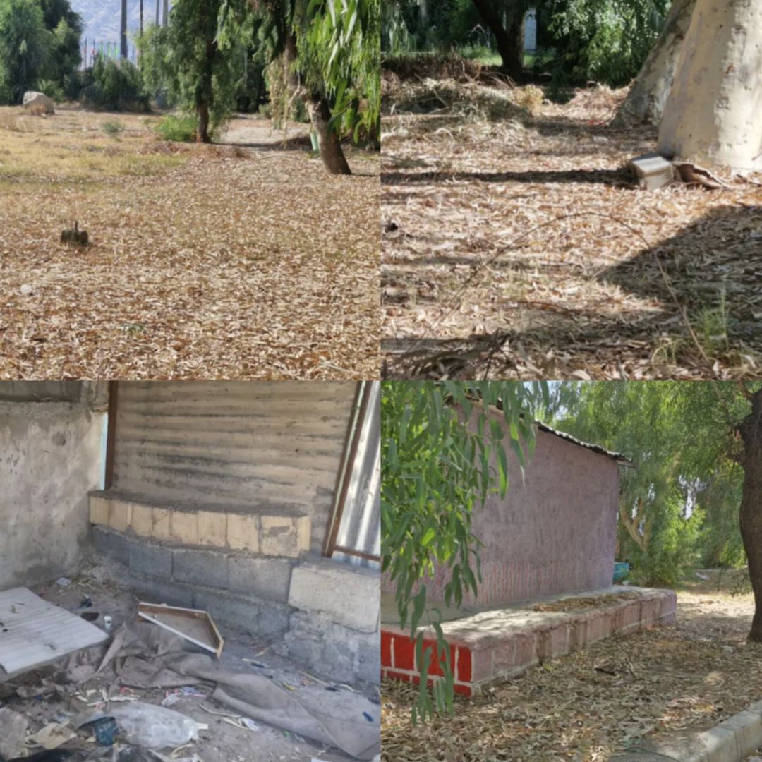 پارک «مالیات» باشت در سکوت و تنهایی+ تصاویر