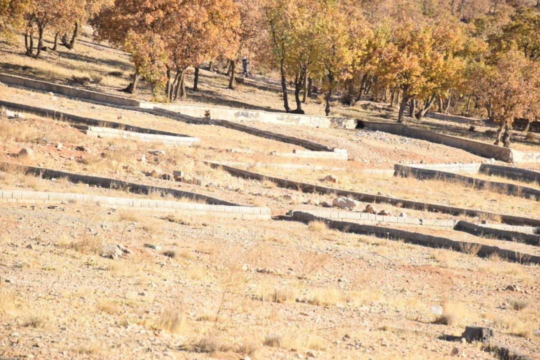 بن‌بست مالکیت در دامان کوهساران یاسوج