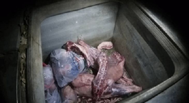 کشف گوشت غیرمجاز در قصابی‌های مادوان