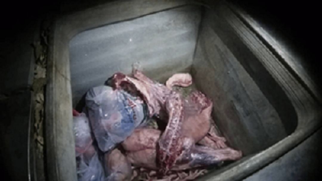 کشف گوشت غیرمجاز در قصابی‌های مادوان