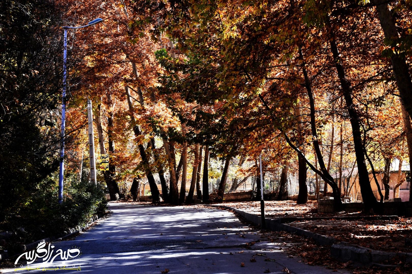 طبیعت قلم زد؛ یاسوج، بوم نقاشی پاییز