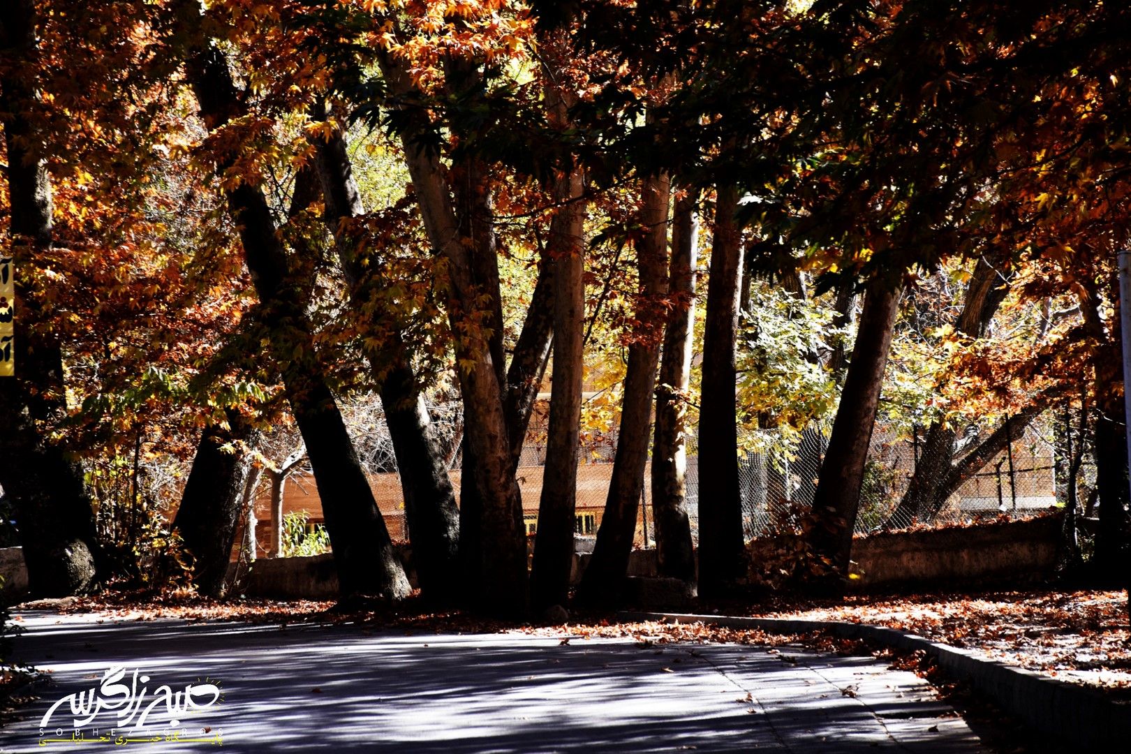 طبیعت قلم زد؛ یاسوج، بوم نقاشی پاییز