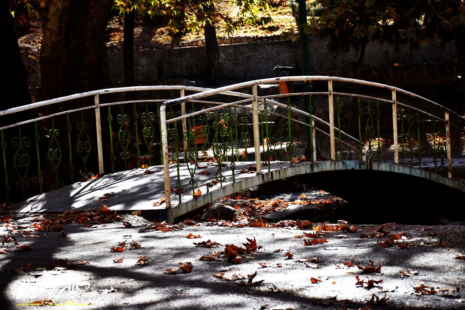 طبیعت قلم زد؛ یاسوج، بوم نقاشی پاییز