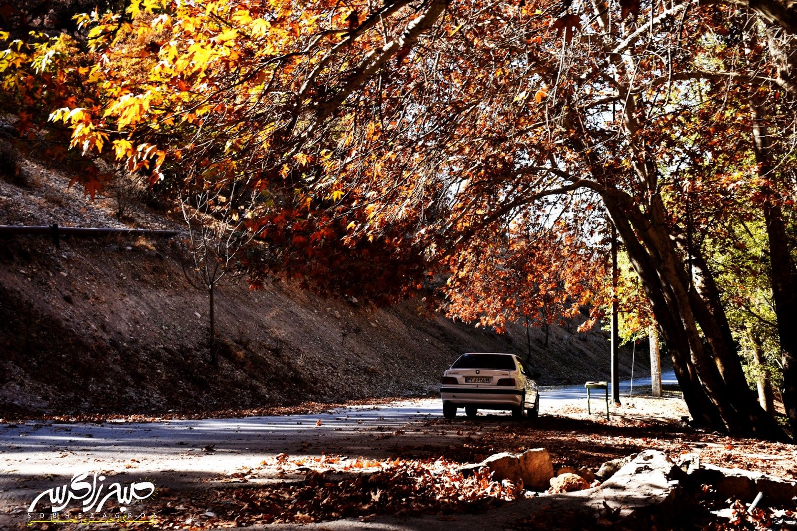 طبیعت قلم زد؛ یاسوج، بوم نقاشی پاییز