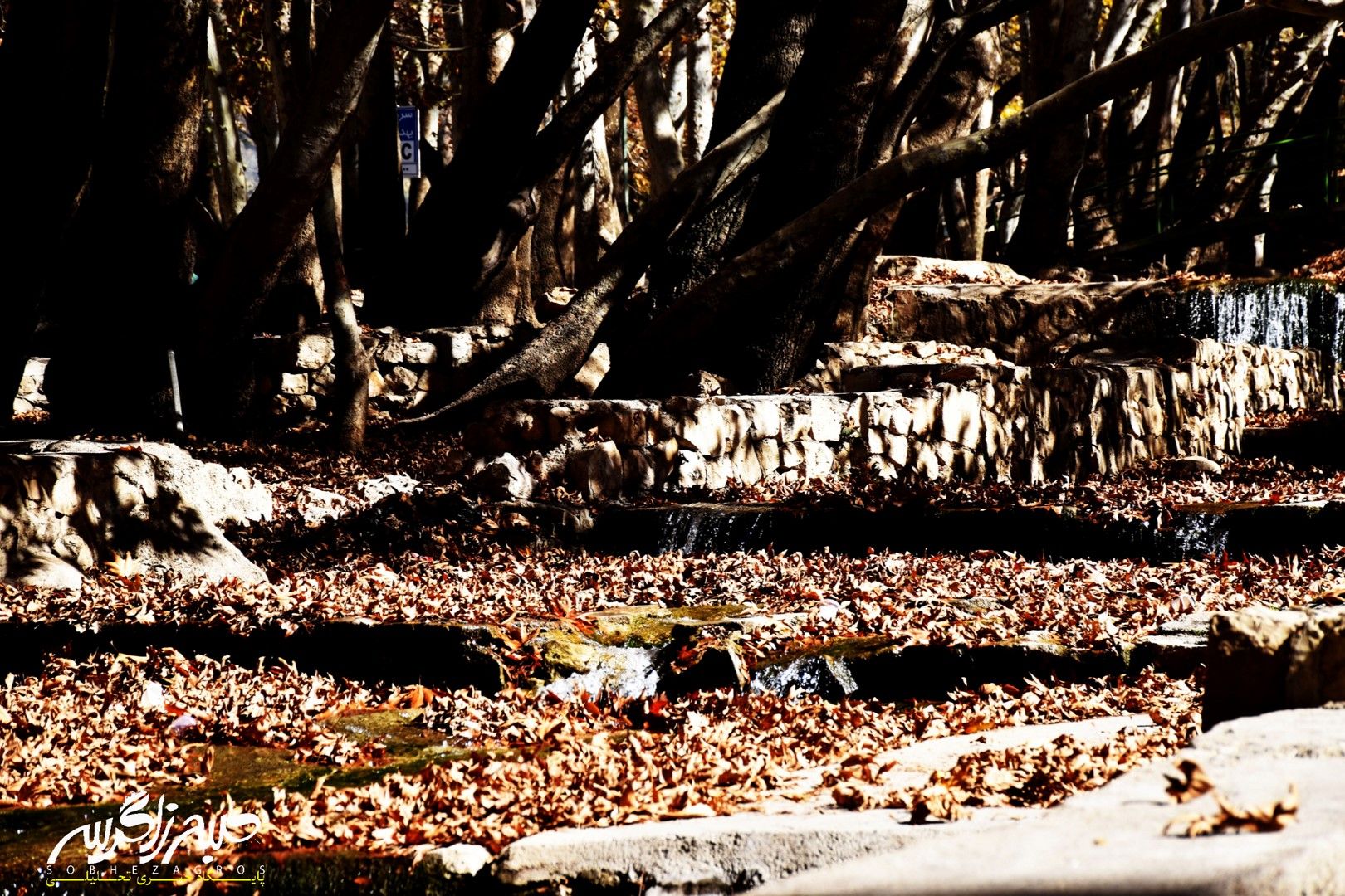 طبیعت قلم زد؛ یاسوج، بوم نقاشی پاییز