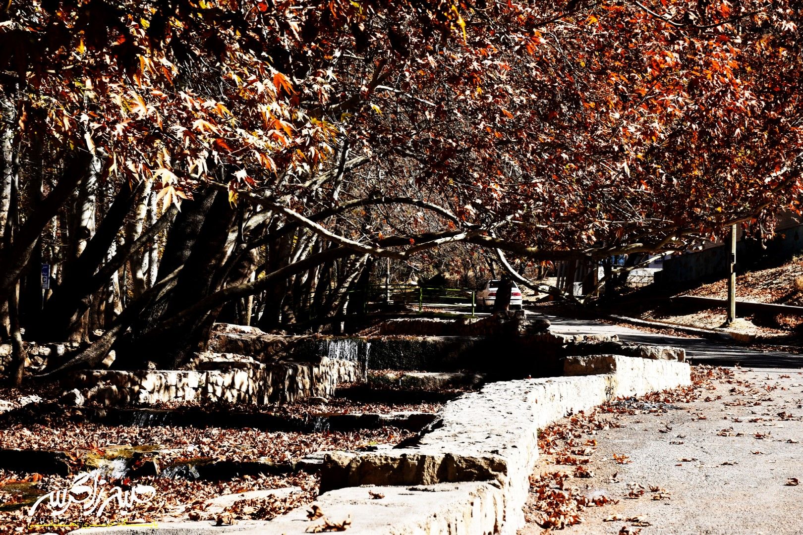 طبیعت قلم زد؛ یاسوج، بوم نقاشی پاییز