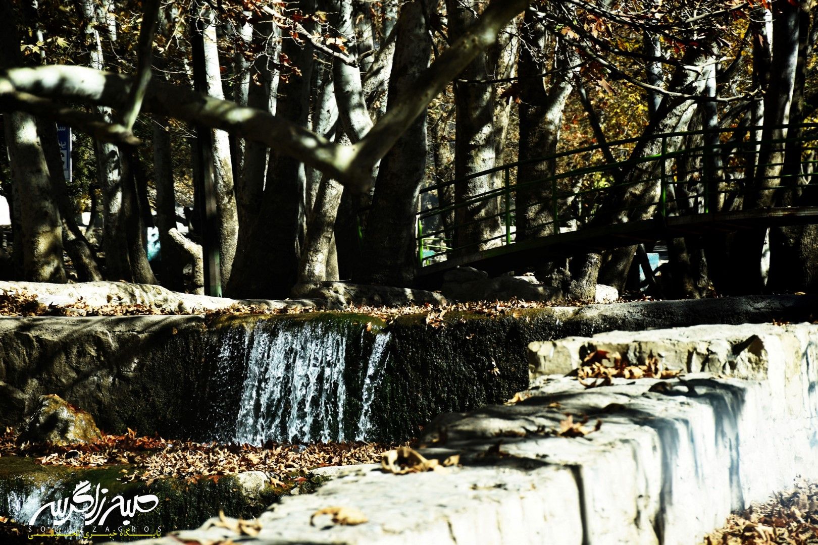 طبیعت قلم زد؛ یاسوج، بوم نقاشی پاییز