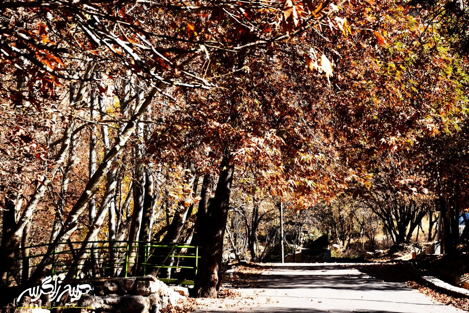 طبیعت قلم زد؛ یاسوج، بوم نقاشی پاییز