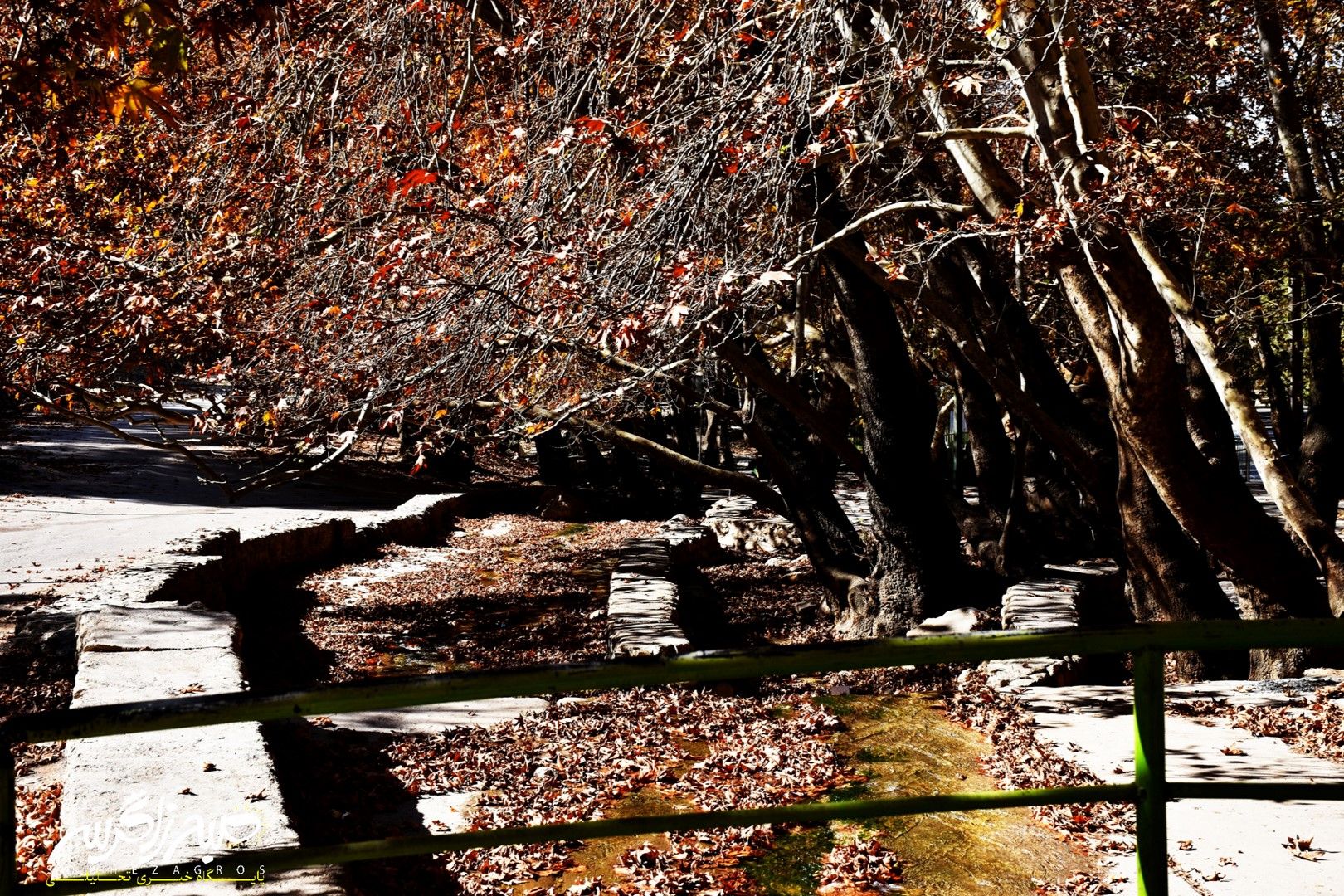 طبیعت قلم زد؛ یاسوج، بوم نقاشی پاییز