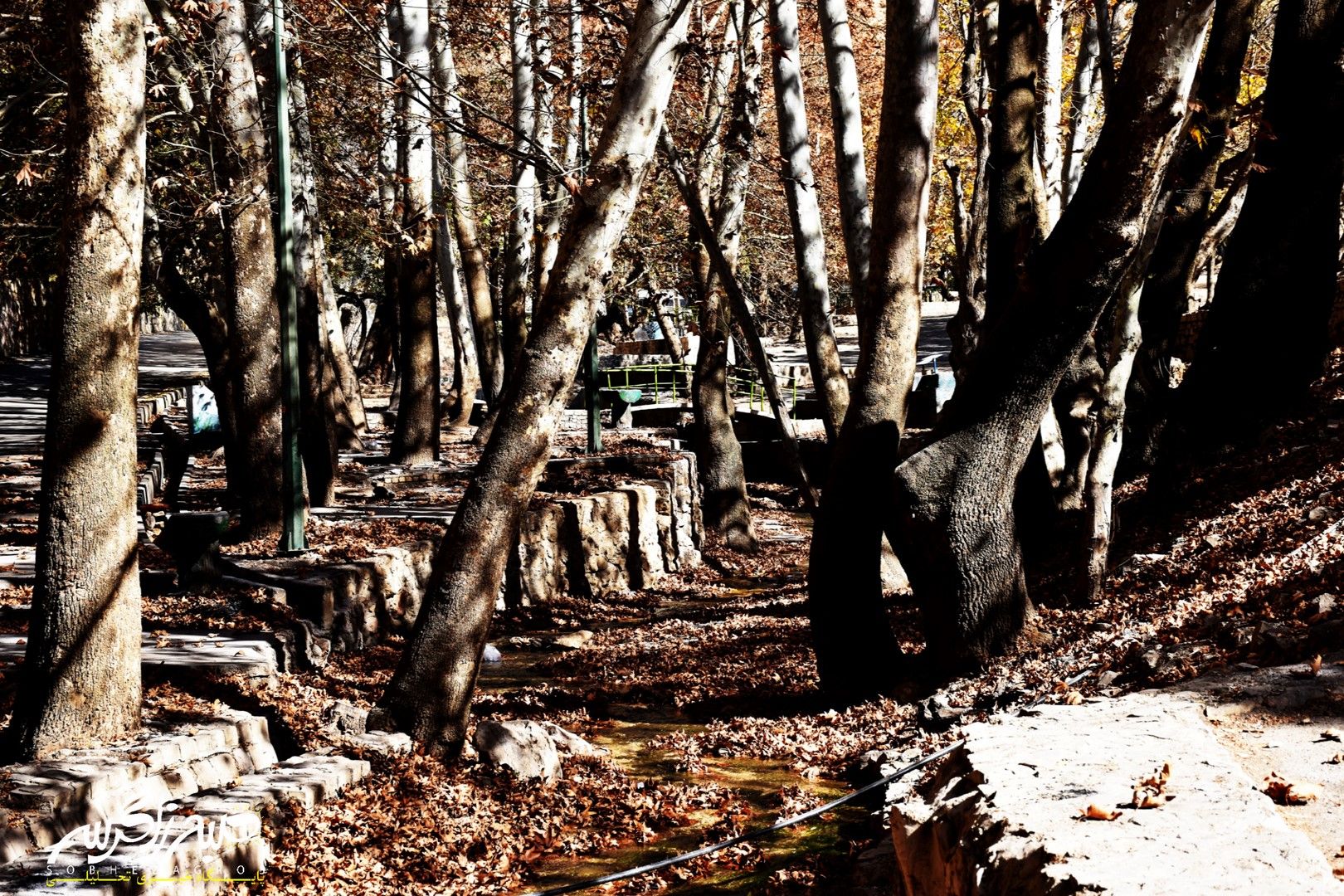 طبیعت قلم زد؛ یاسوج، بوم نقاشی پاییز