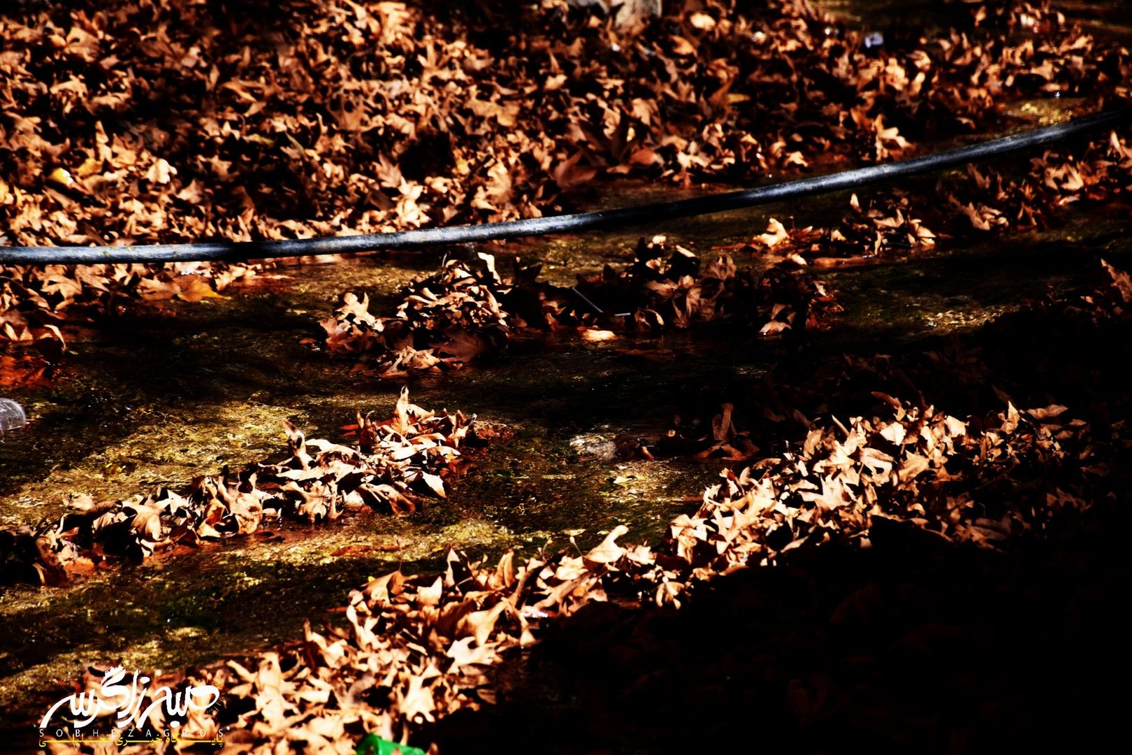 طبیعت قلم زد؛ یاسوج، بوم نقاشی پاییز