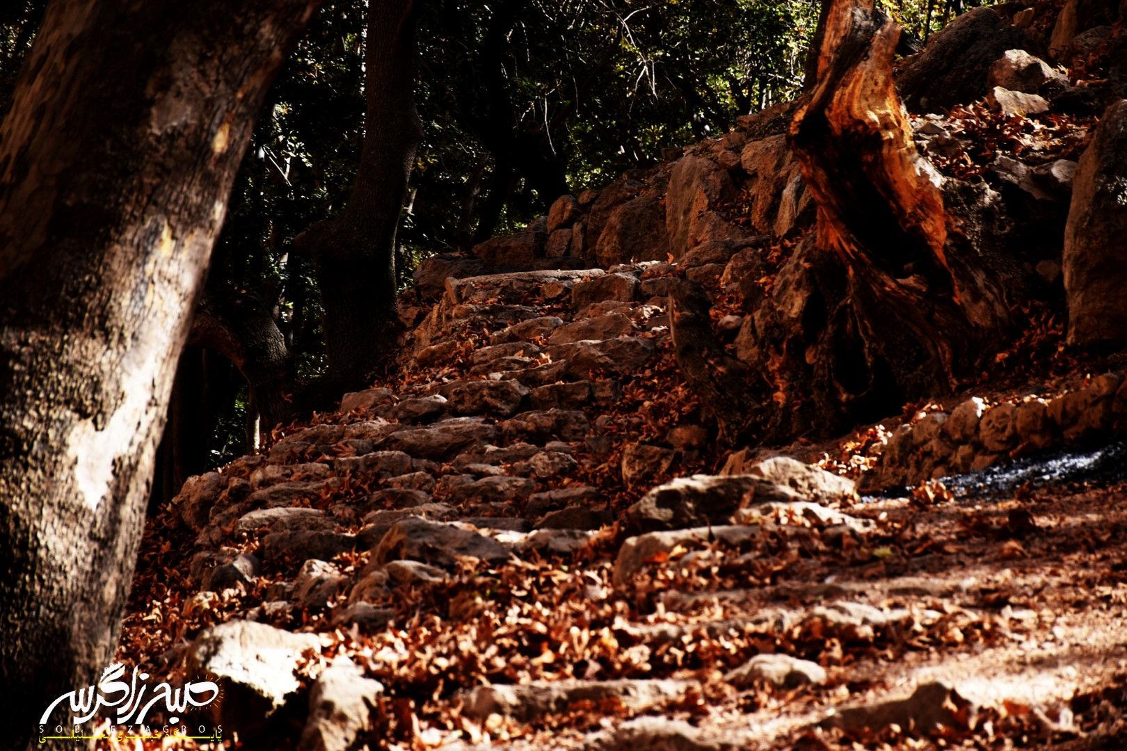 طبیعت قلم زد؛ یاسوج، بوم نقاشی پاییز