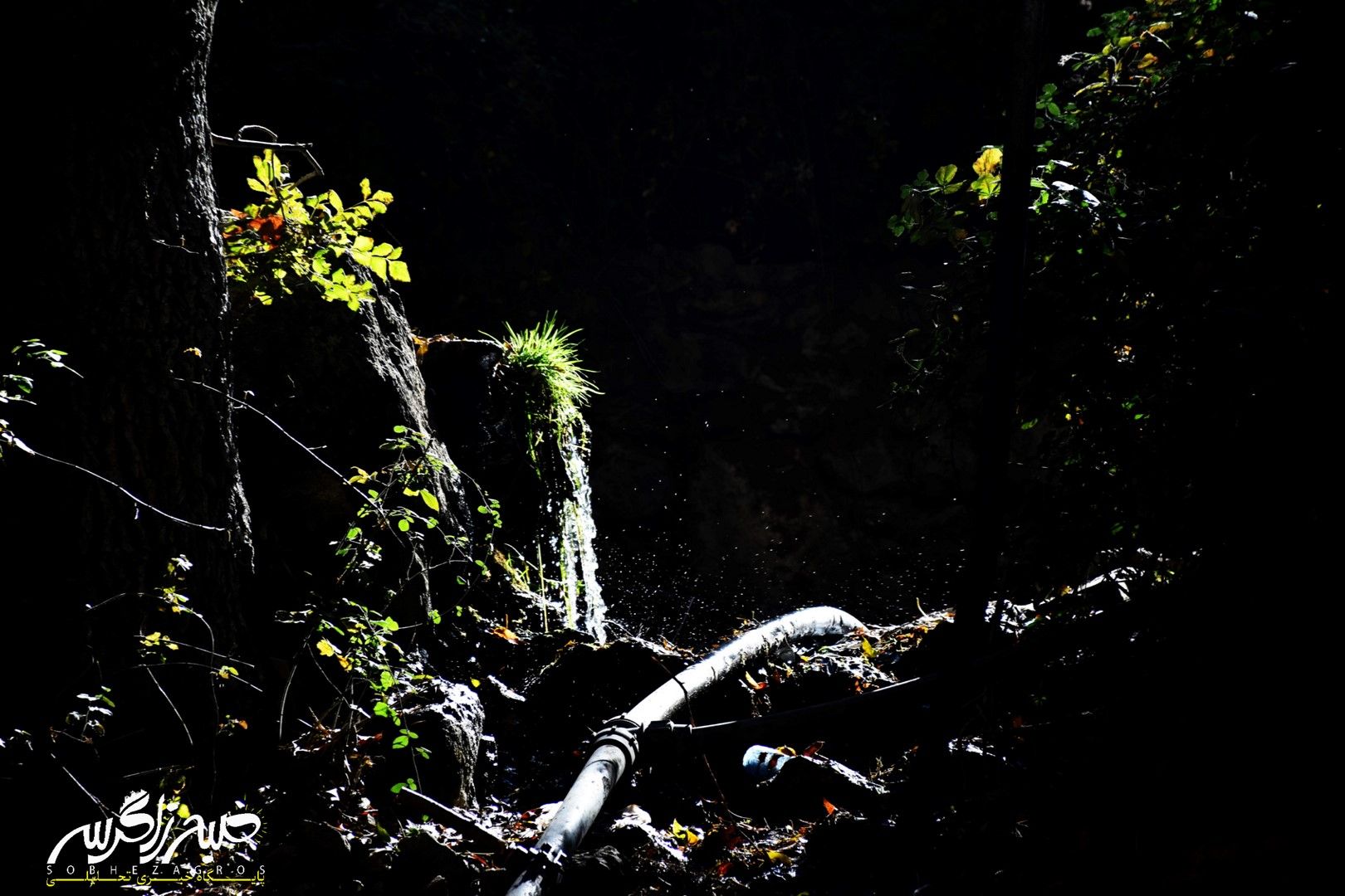 طبیعت قلم زد؛ یاسوج، بوم نقاشی پاییز