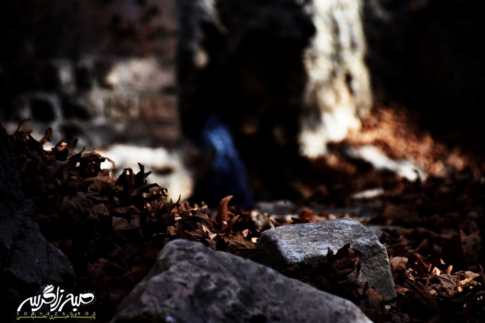 طبیعت قلم زد؛ یاسوج، بوم نقاشی پاییز