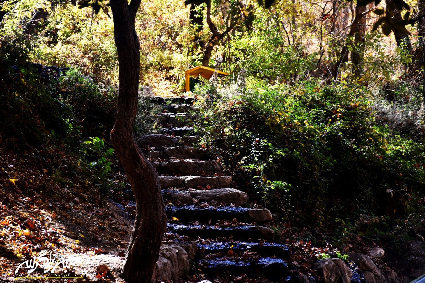 طبیعت قلم زد؛ یاسوج، بوم نقاشی پاییز