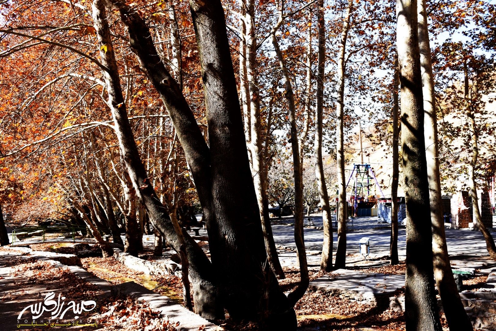 طبیعت قلم زد؛ یاسوج، بوم نقاشی پاییز