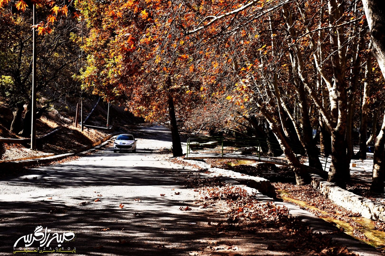 طبیعت قلم زد؛ یاسوج، بوم نقاشی پاییز