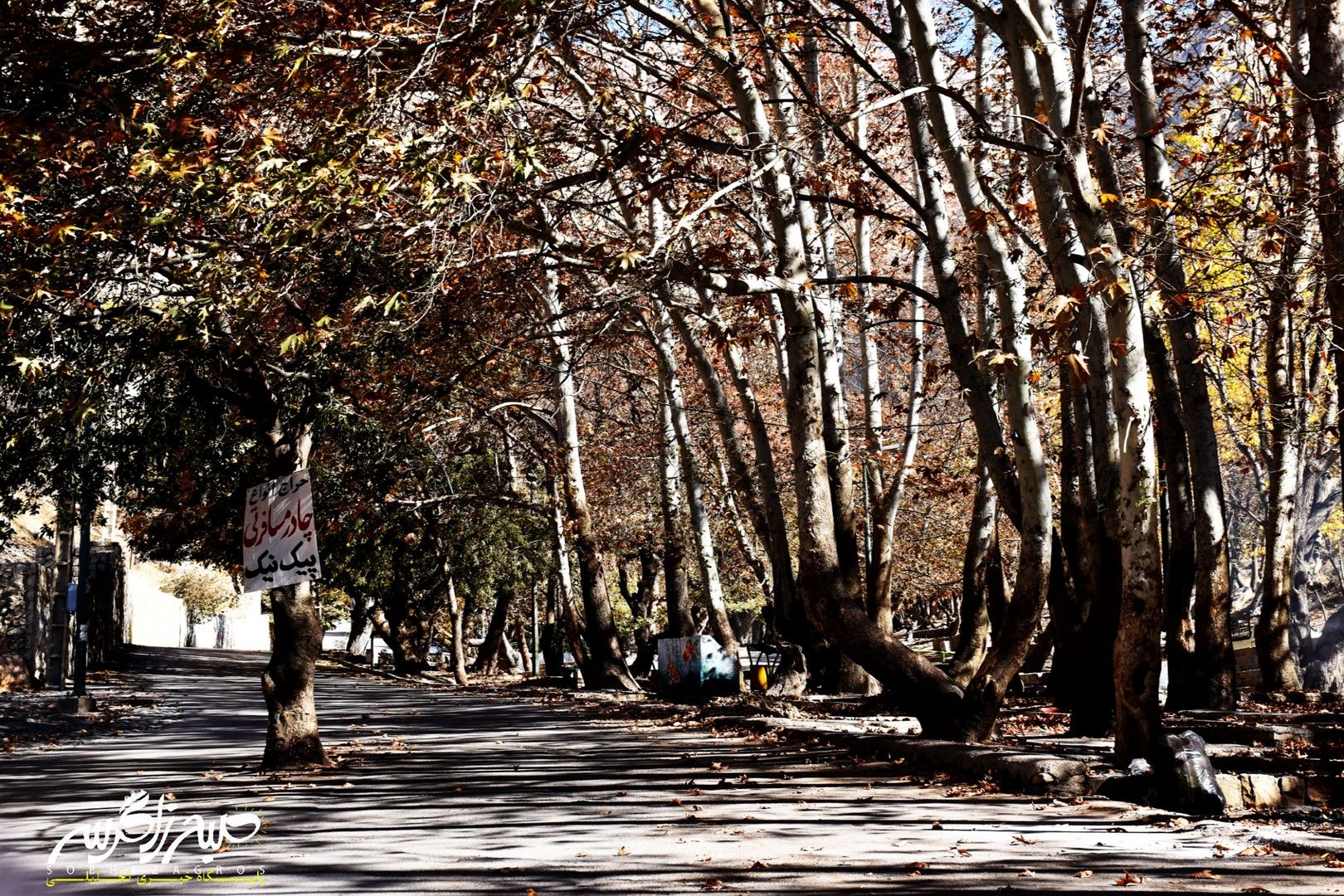 طبیعت قلم زد؛ یاسوج، بوم نقاشی پاییز