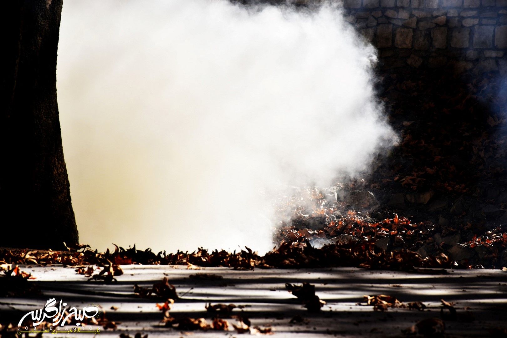 طبیعت قلم زد؛ یاسوج، بوم نقاشی پاییز