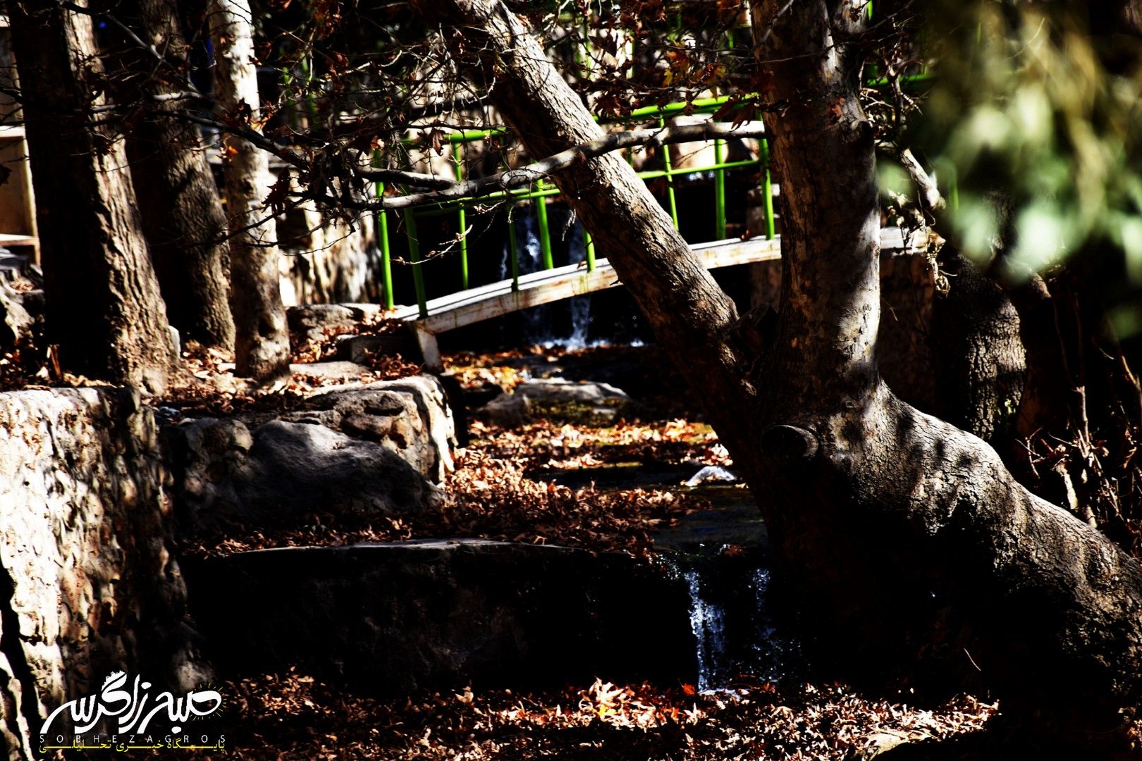 طبیعت قلم زد؛ یاسوج، بوم نقاشی پاییز