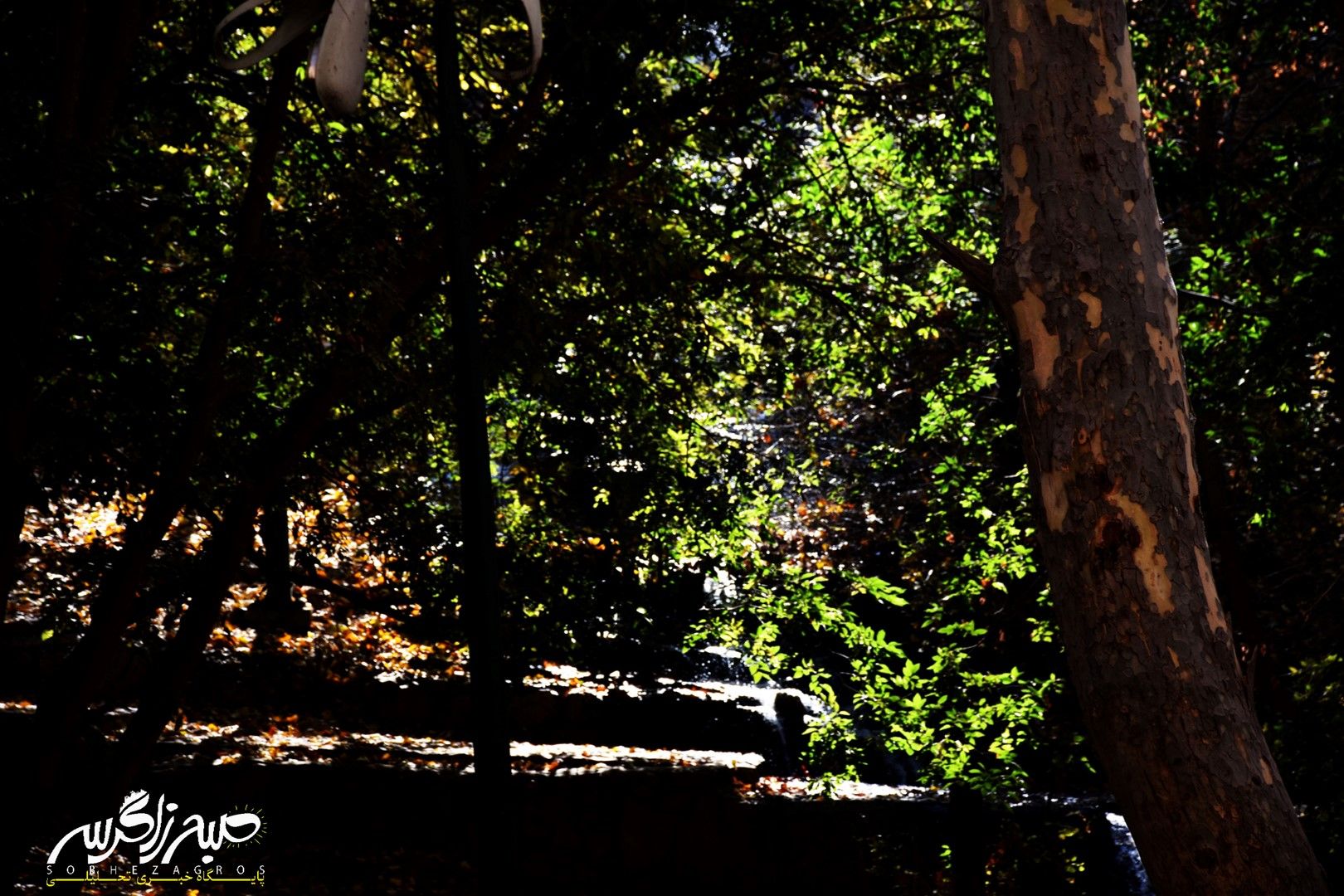 طبیعت قلم زد؛ یاسوج، بوم نقاشی پاییز